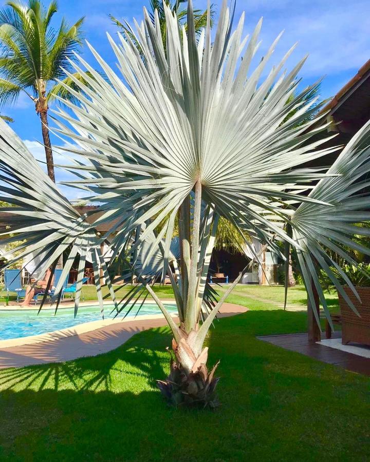Pousada Villa Palmeira Azul Porto Seguro Kültér fotó